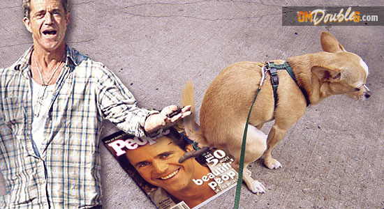 Now On Gibson’s Sh*t-list: a Chihuahua