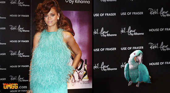 Who Wore It Better?:Rihanna vs. Parrot