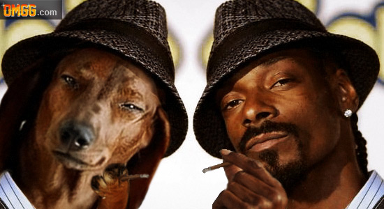 Separated at Birth: Snoop Dogg
