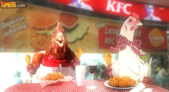 Shunned by Chick-Fil-A, Gay Chickens Endorse KFC