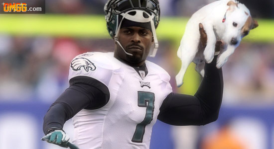 Is Michael Vick's Poor Play Due to His Kind Treatment of Dogs?